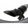 Schlauch, Saugschlauch, Staubsaugerschlauch mit Handgriff passend für Philips Marathon FC9200, 432200517570