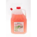 5 Liter X-Green Grünbelagsentferner, Grünbelag...