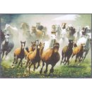 Fußmatte Schuhunterlage - Horses - Pferde 45x60 cm