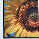 Fußmatte Schuhablage - Sonnenblume - Sunflower...