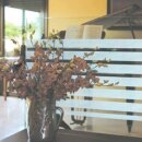 LINEA Fix Dekorfolie - statische Fensterfolie Office 0,46 x 20 Meter Rolle