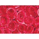 Klebefolie - M&ouml;belfolie - rote Rosen - Dots -  45 cm...