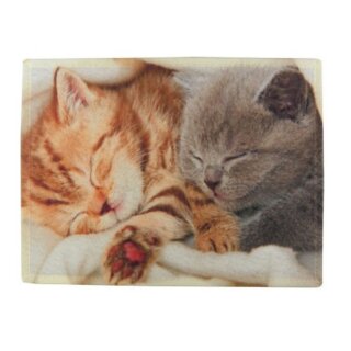 Tischset - Platzmatte - Katzen Katzenkinder - 2 teilig Kätzchen