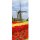 Textilposter - Windmühle Banner Tulpen Poster aus Stoff ca 75 x 180 cm