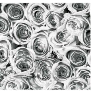 Klebefolie - selbstklebende Möbelfolie Rosen grau weiss -  45 cm x 200 cm
