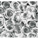 Klebefolie - selbstklebende Möbelfolie Rosen grau...