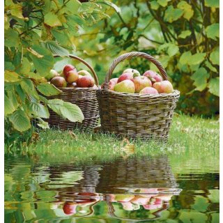 Outdoor Textilposter Äpfel Garten Poster aus Stoff ca 95 x 95 cm