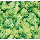 Klebefolie Möbelfolie Dekorfolie Blätter grün 45 cm x 200 cm