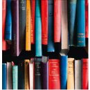 Klebefolie - Möbelfolie Bücher Bücherregal bunt - 45 cm x 200 cm
