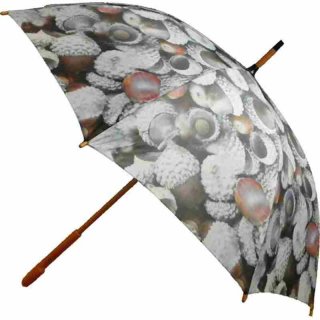 Regenschirm - Stockschirm - Eicheln Schirm