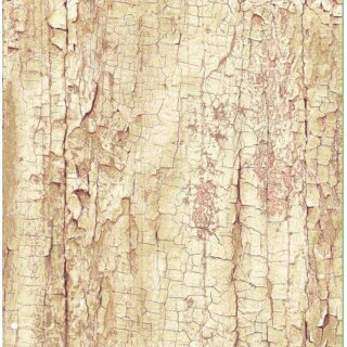Klebefolie - Möbelfolie Baumrinde Druck Dekorfolie 45 cm x 200 cm