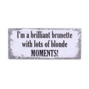 Vintage Blechschild - Lots of blonde Moments - Wandschild