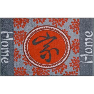 Waschbare Fußmatte - China Home 50x75 cm Wash+Dry Fußabstreifer