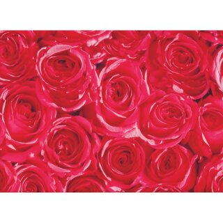 Klebefolie - Möbelfolie - rote Rosen - Dots - 45 cm x 1500 cm Dekorfolie