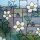 LINEA Fix statische Fensterfolie GLS 4657 Blumen Dekorfolie 0,92 m x 20 m