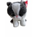 TY Beanie Boo`s Collection Yang Katze Kuscheltier, 15 cm, Nr. 42273
