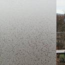 Dekorfolie statische Fensterfolie Glasdekorfolie ICE gefrostet 0.45 x 20 Meter