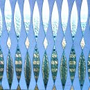 Statische Fensterfolie JOY static Dekorfolie Fische - Fish 0,45 x 20 Meter Maxirolle